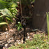 Black Powder Coated Iron Rain Chain Anchoring Stake with Stainless Steel Chain